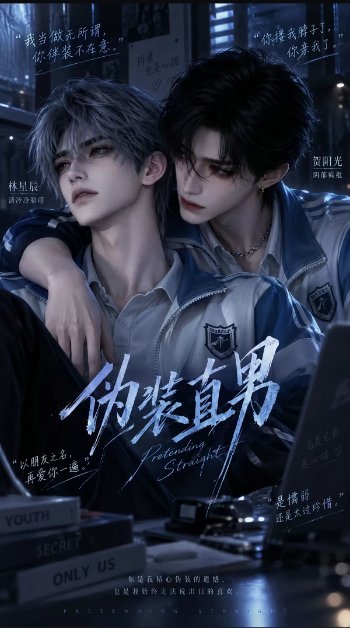 伪装直男无雾版